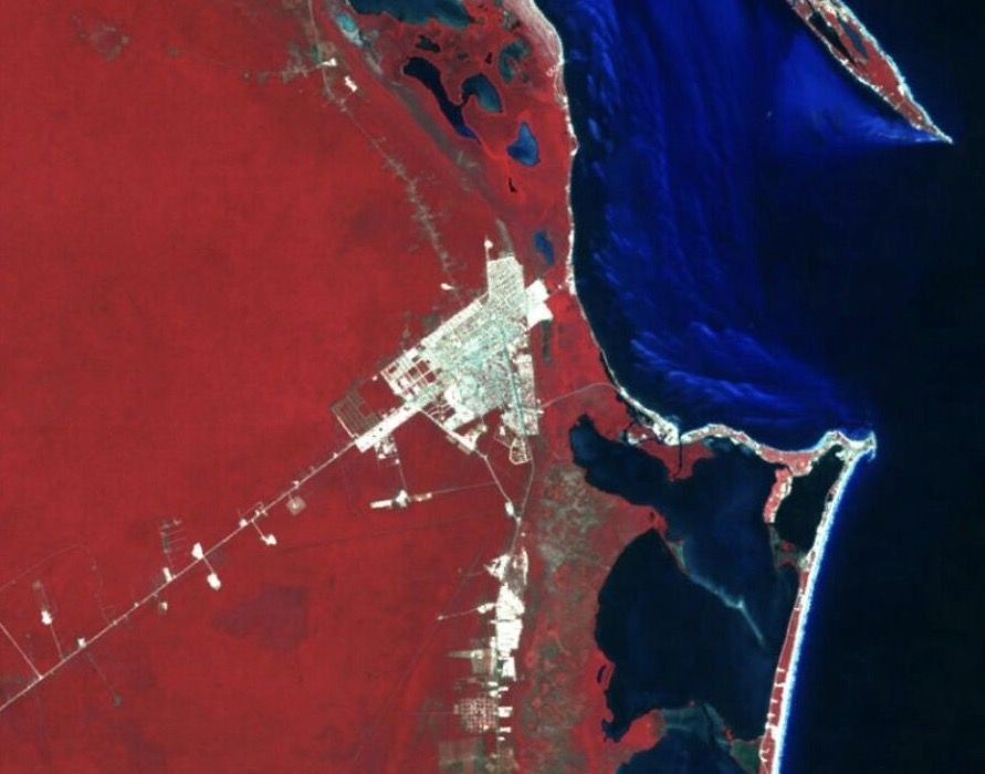 ¿CANCÚN A ROJO? El rebrote de Covid también es crítico en el norte del estado (gráficas)