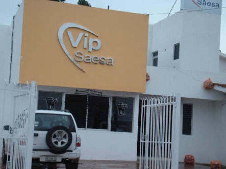 Detienen a ex director de Vip Saesa