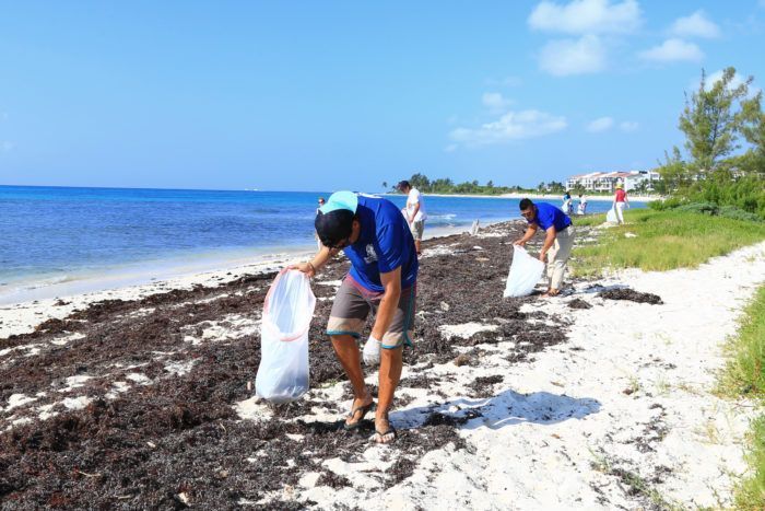 Celebra Solidaridad la semana del turismo con limpieza de playas
