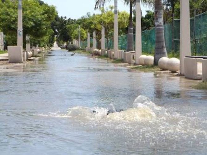 Ha pagado CAPA 160 mil pesos en daños por obras en Chetumal
