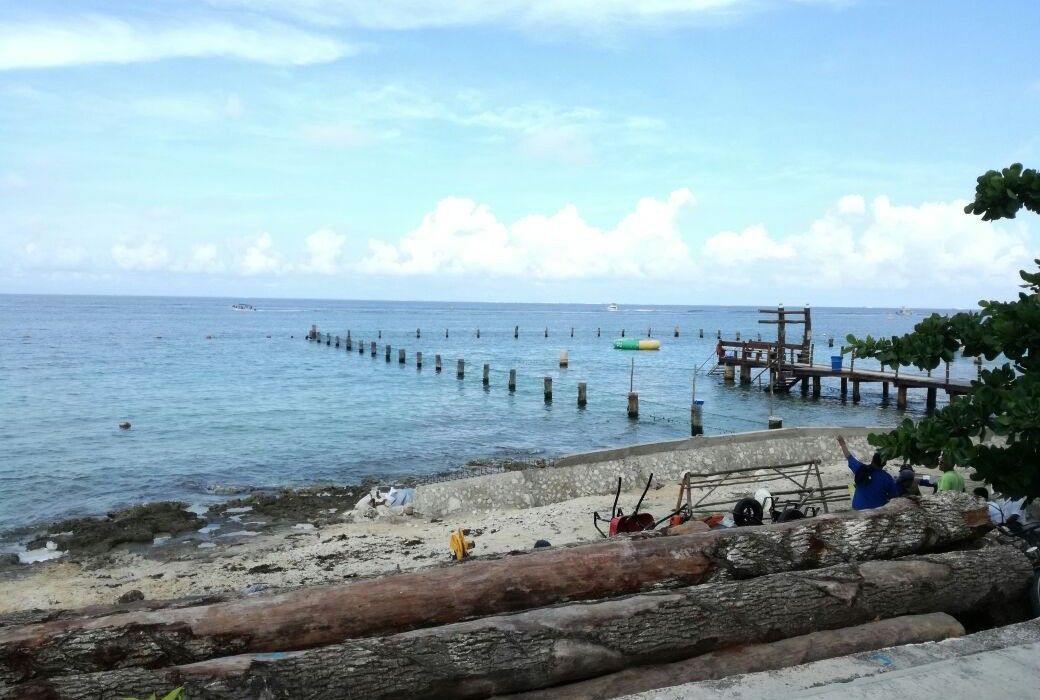 Denuncian daños a arrecifes coralinos de Cozumel