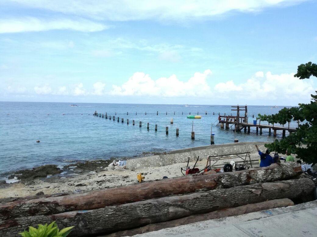 Denuncian daños a arrecifes coralinos de Cozumel