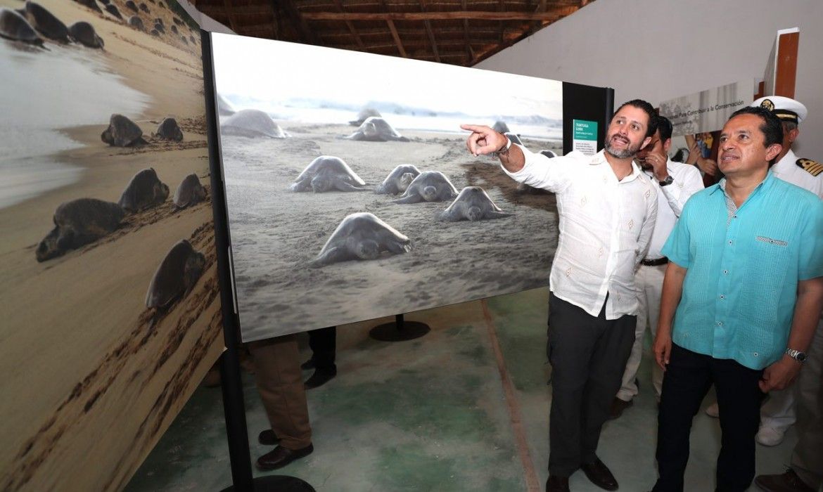 Para que la gente disfrute los beneficios de nuestra riqueza natural, en Quintana Roo protegemos y preservamos esa maravilla: Carlos Joaquín