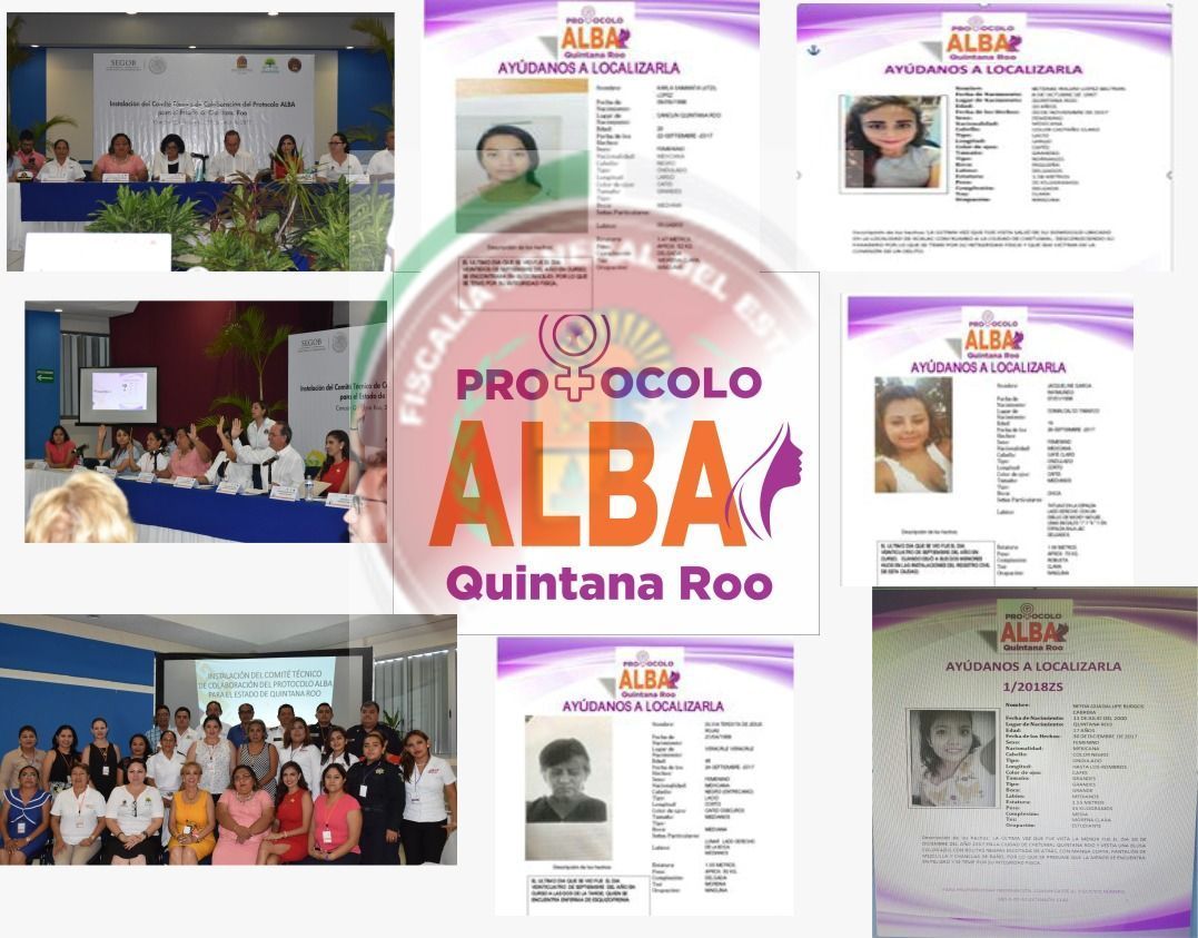 Desde la instalación del Protocolo Alba, se obtuvo un 98% de efectividad al localizar a 39 extraviadas