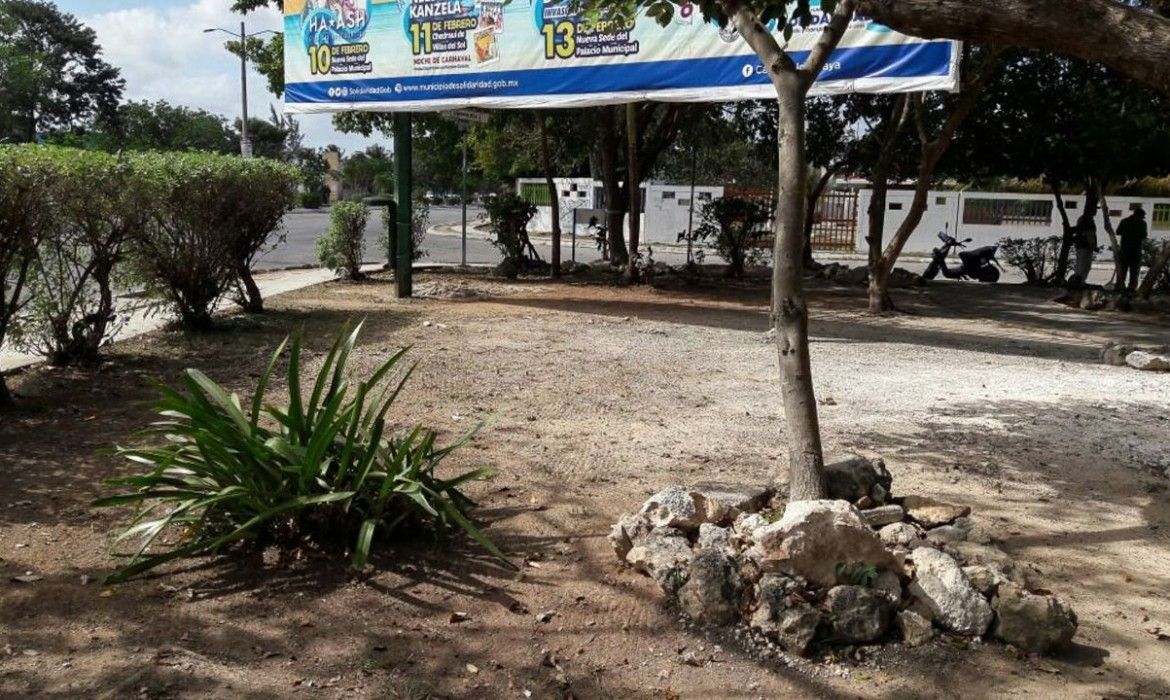 Limpia y habilita Gobierno de Solidaridad parques, puentes y vialidades