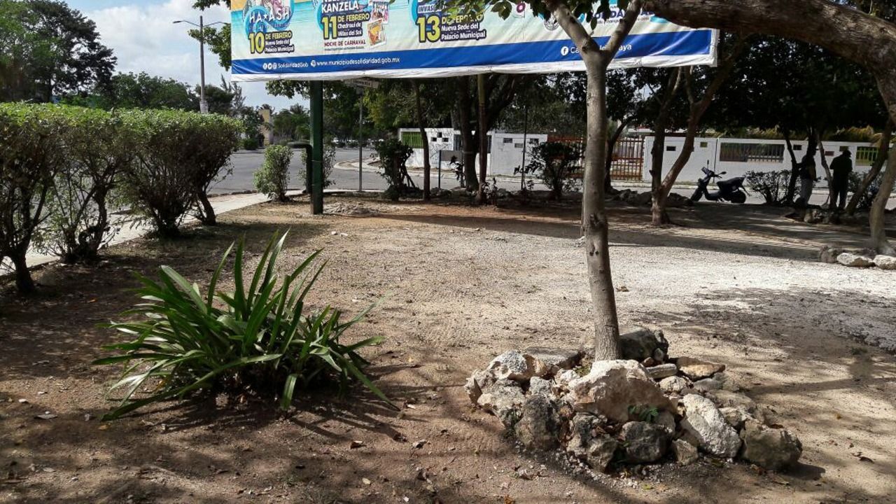Limpia y habilita Gobierno de Solidaridad parques, puentes y vialidades