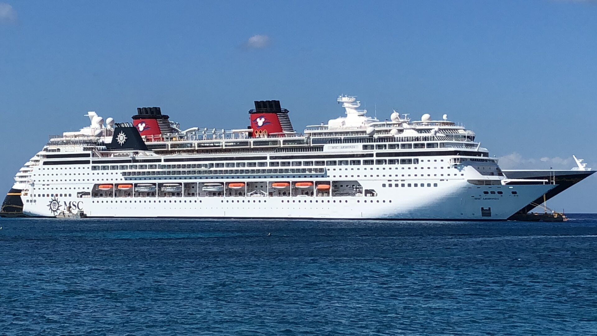 No hay riesgo para turistas en Cozumel: Sedetur | Princess Cruises cancela sus tenders a Playa