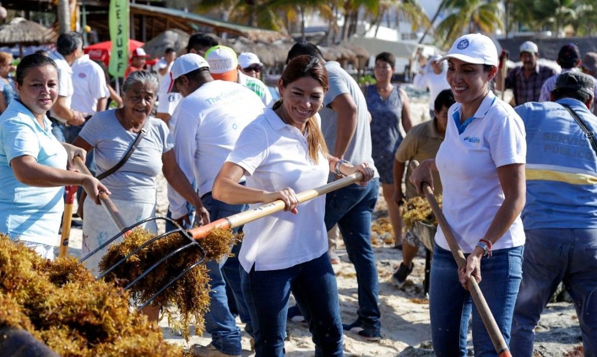 Gobierno y voluntarios limpian playas en Solidaridad; retiran 130 toneladas de sargazo