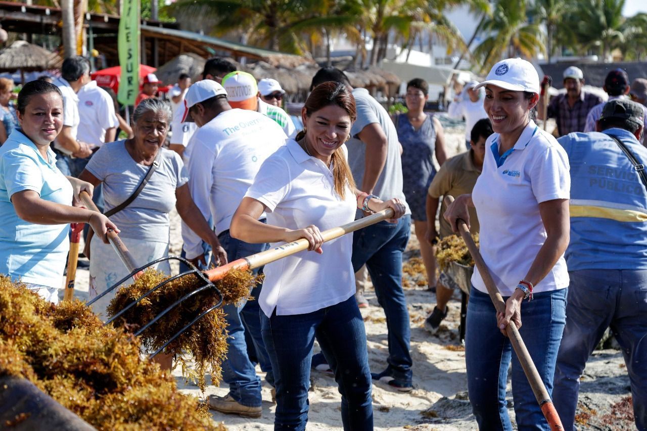 Gobierno y voluntarios limpian playas en Solidaridad; retiran 130 toneladas de sargazo
