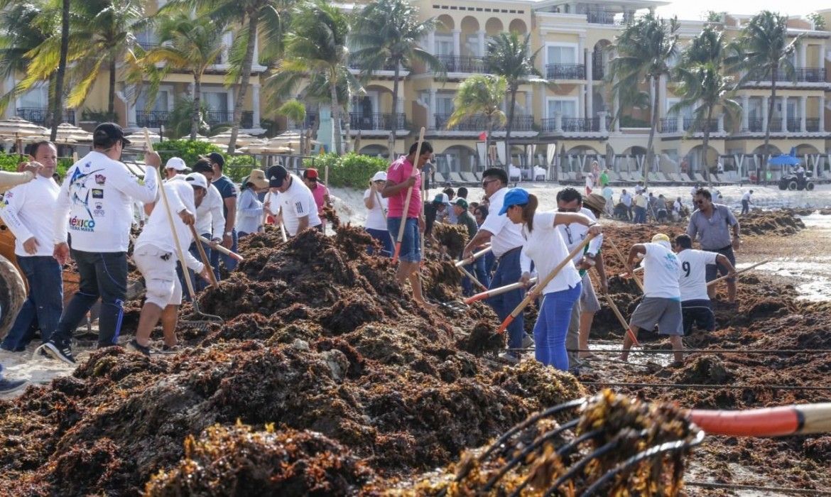Reforzaremos trabajos en playas ante recale de sargazo: Samaria Angulo