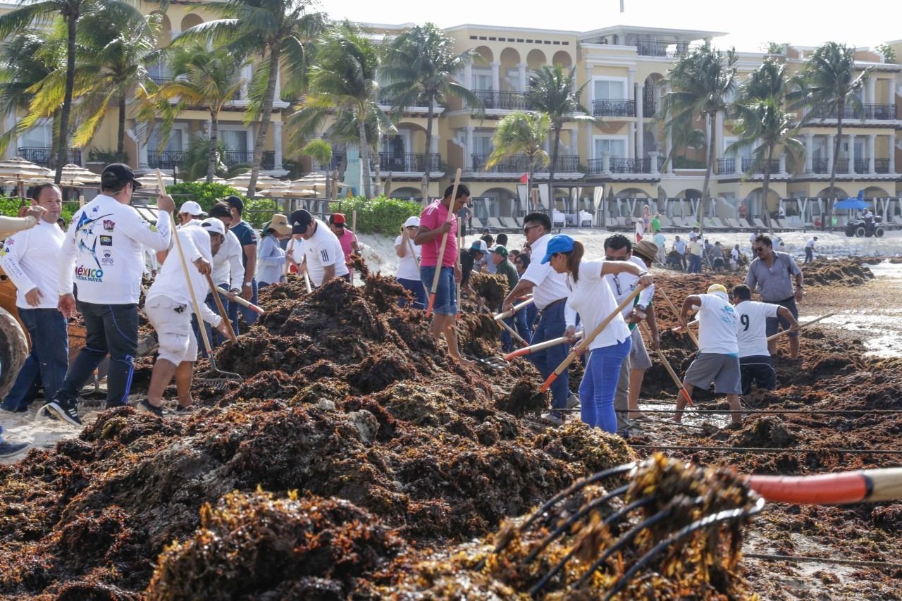Reforzaremos trabajos en playas ante recale de sargazo: Samaria Angulo