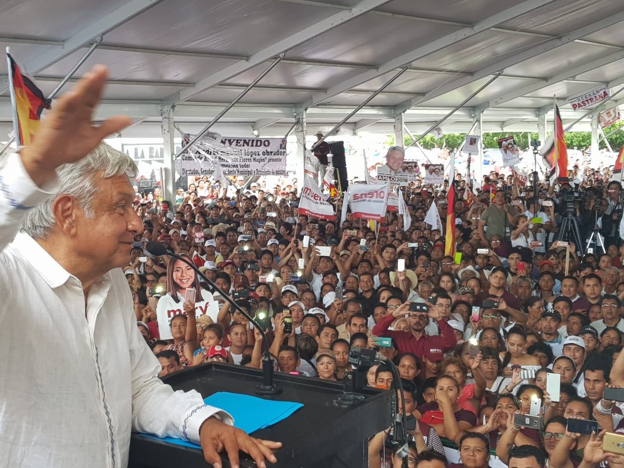 Sembrar 100 mil hectáreas de árboles frutales y maderables, ofrece AMLO al campo de QR