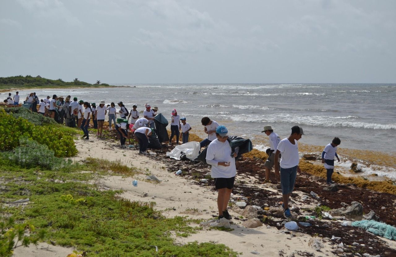 Limpian playas de Punta Sur, en Cozumel