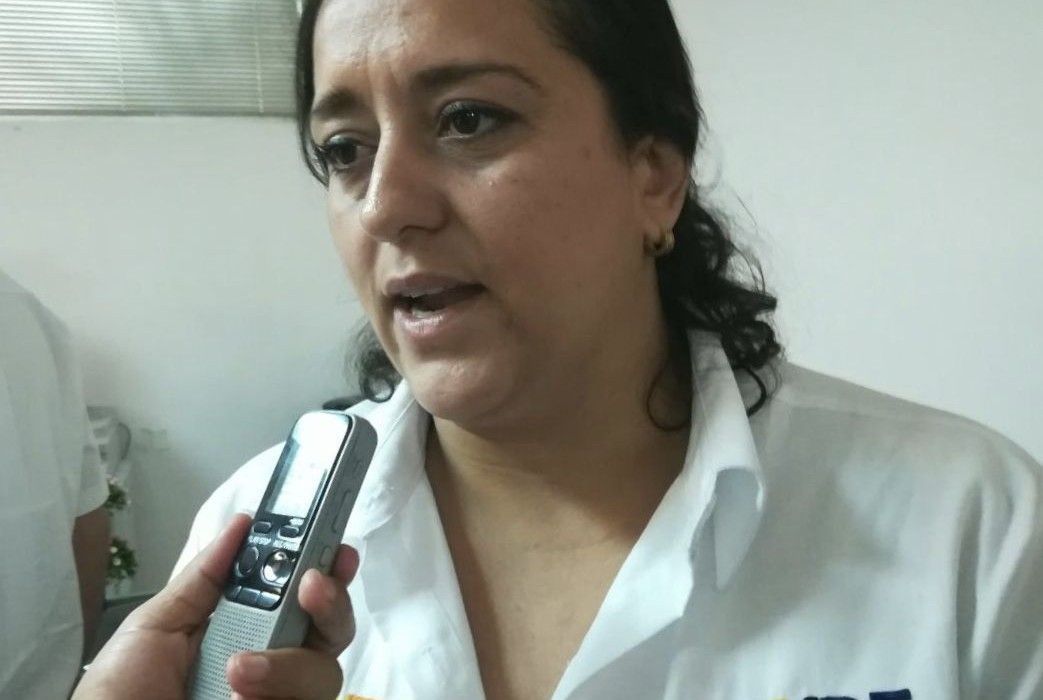 Morena le tomó el pelo a la ciudadanía: Haydé Saldaña