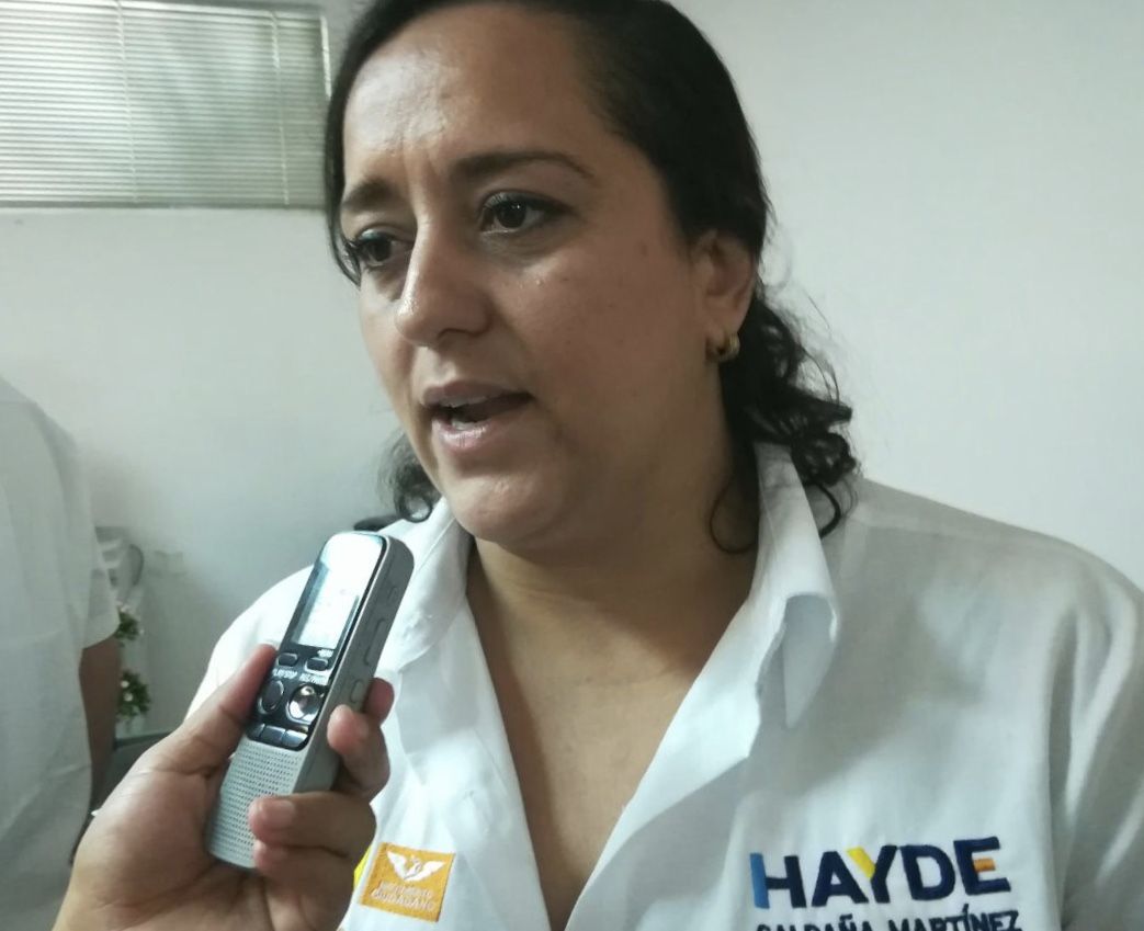 Morena le tomó el pelo a la ciudadanía: Haydé Saldaña
