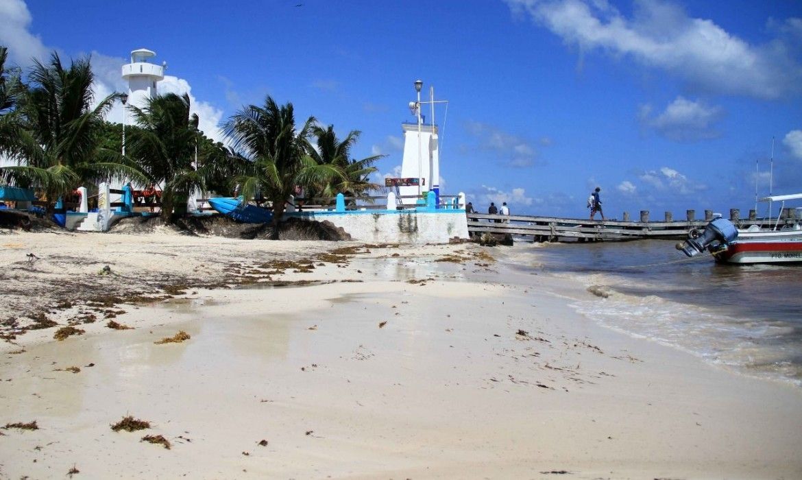 Atiende Gobierno de Laura Fernández últimos puntos de recale de sargazo en Puerto Morelos