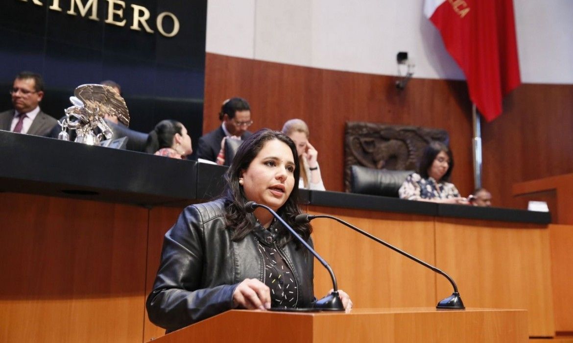 Mayuli presenta iniciativa para que acceso a la energía eléctrica sea un derecho humano
