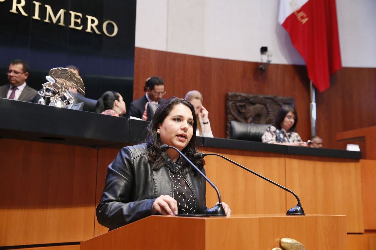 Mayuli presenta iniciativa para que acceso a la energía eléctrica sea un derecho humano
