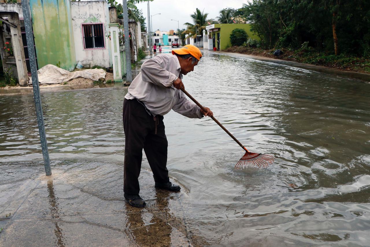 Por lluvias, limpian más de 120 rejillas y recogen hojas en las avenidas principales de Cozumel