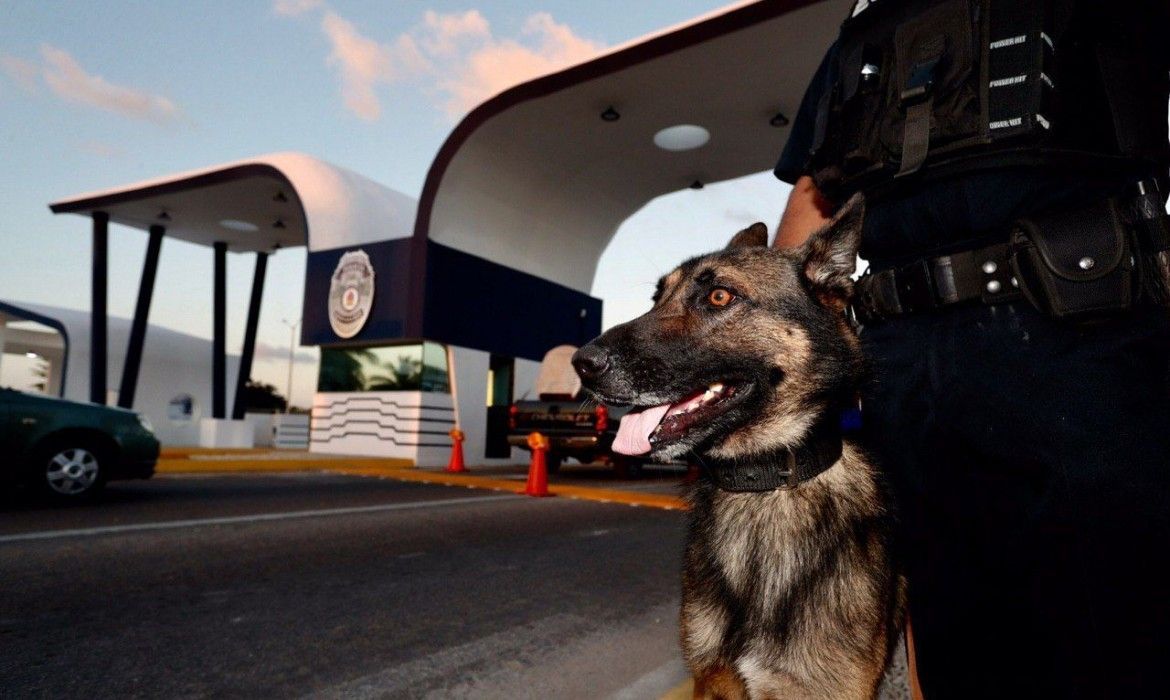 En Chetumal, inauguran primer Arco de Seguridad en el estado