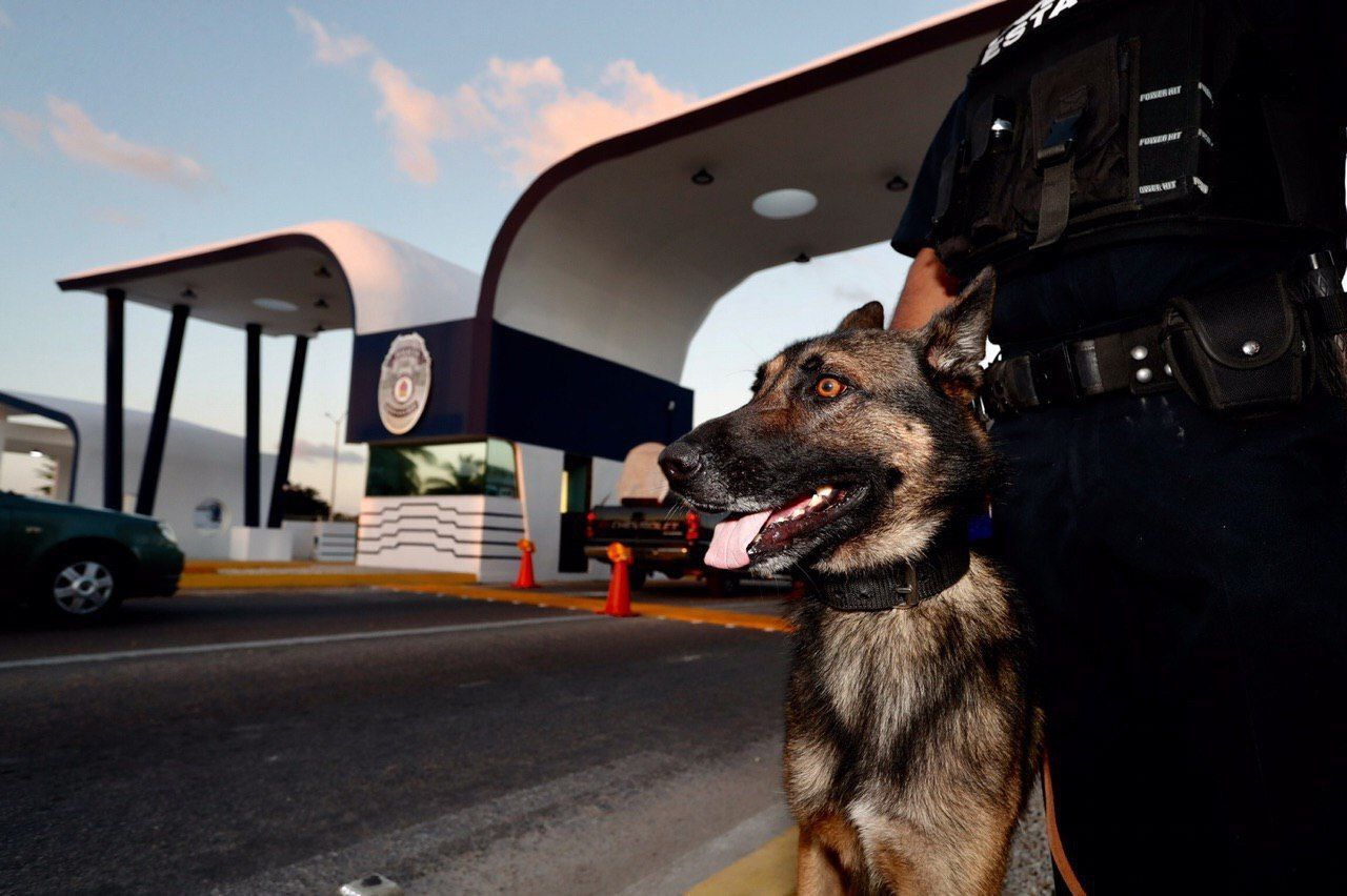 En Chetumal, inauguran primer Arco de Seguridad en el estado