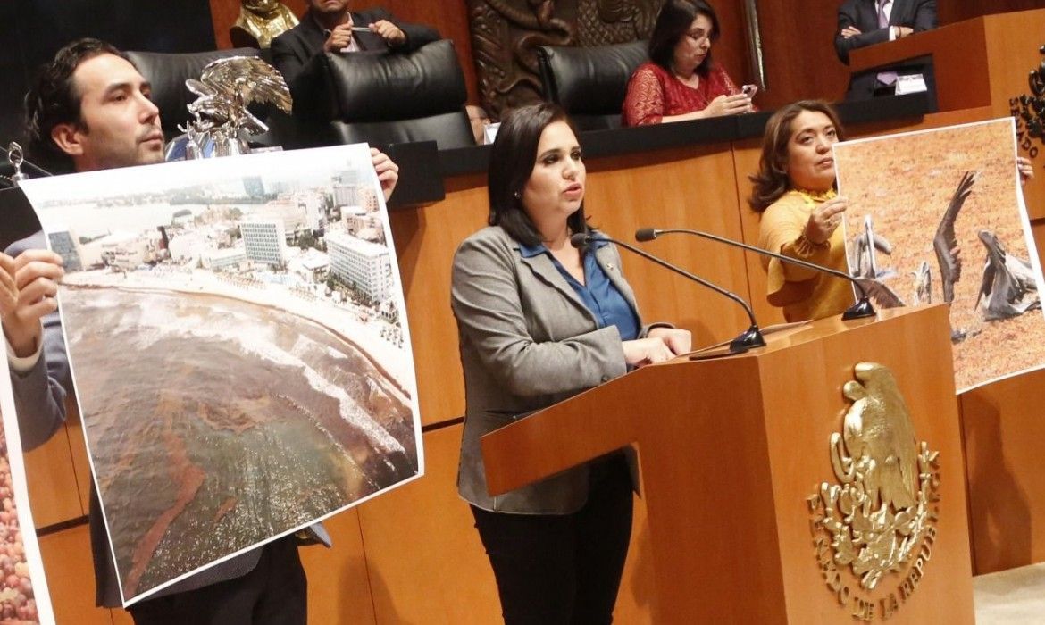 Mayuli respalda pedido de investigación a hermano de AMLO y a MORENA por videos