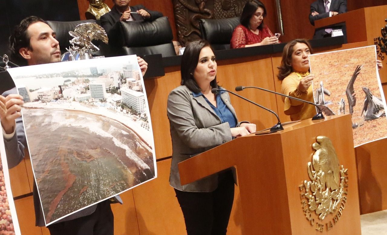 Mayuli respalda pedido de investigación a hermano de AMLO y a MORENA por videos