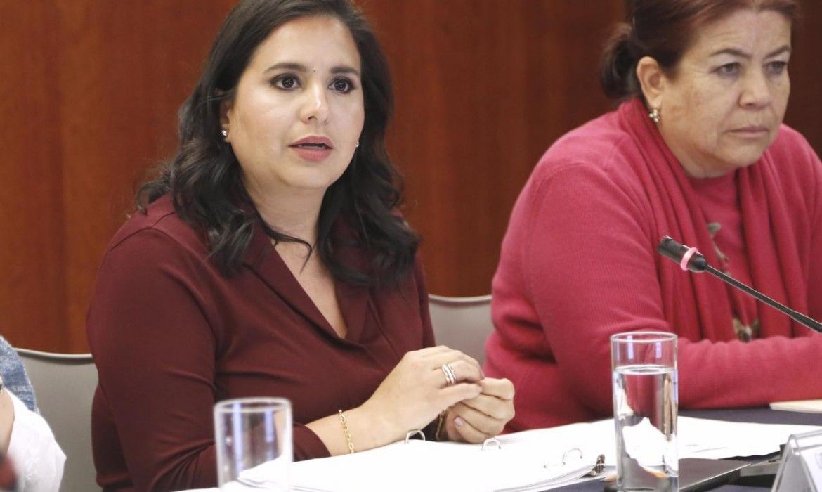 Pronostican debilitamiento del turismo por falta de promoción, advierte Mayuli Martínez.