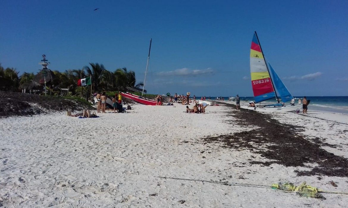 Advierten que sargazo podría afectar turismo en Tulum