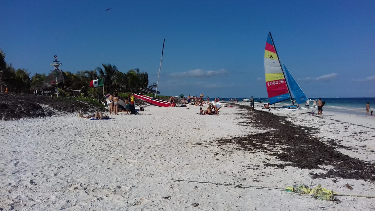 Advierten que sargazo podría afectar turismo en Tulum