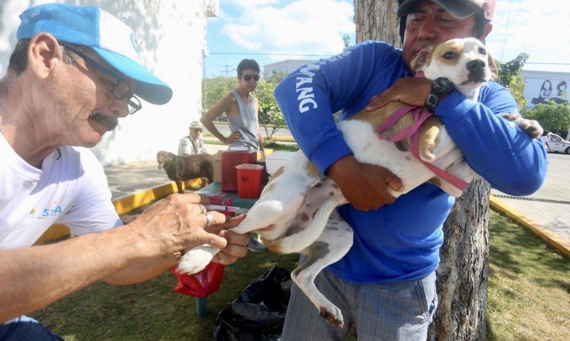 Se aplicaron 2200 dosis en los primeros días de la Semana Nacional de Vacunación Antirrábica Canina y Felina 2019