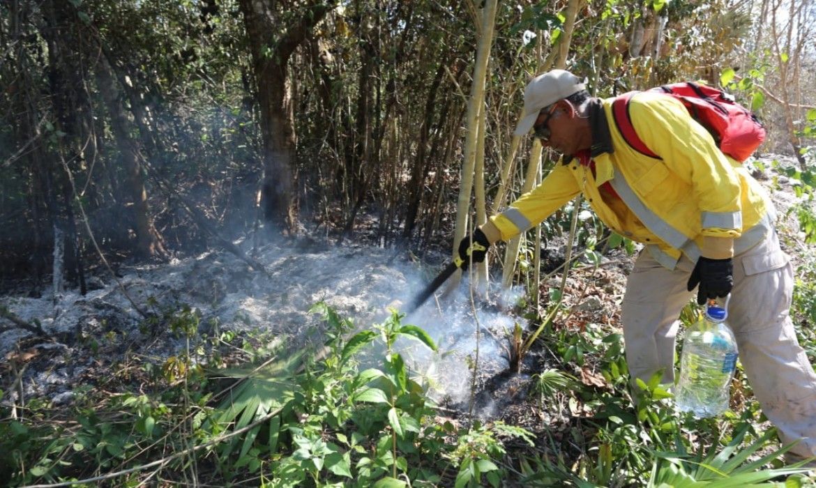 Combate Gobierno de Isla Mujeres primer incendio de la temporada en Francisco May