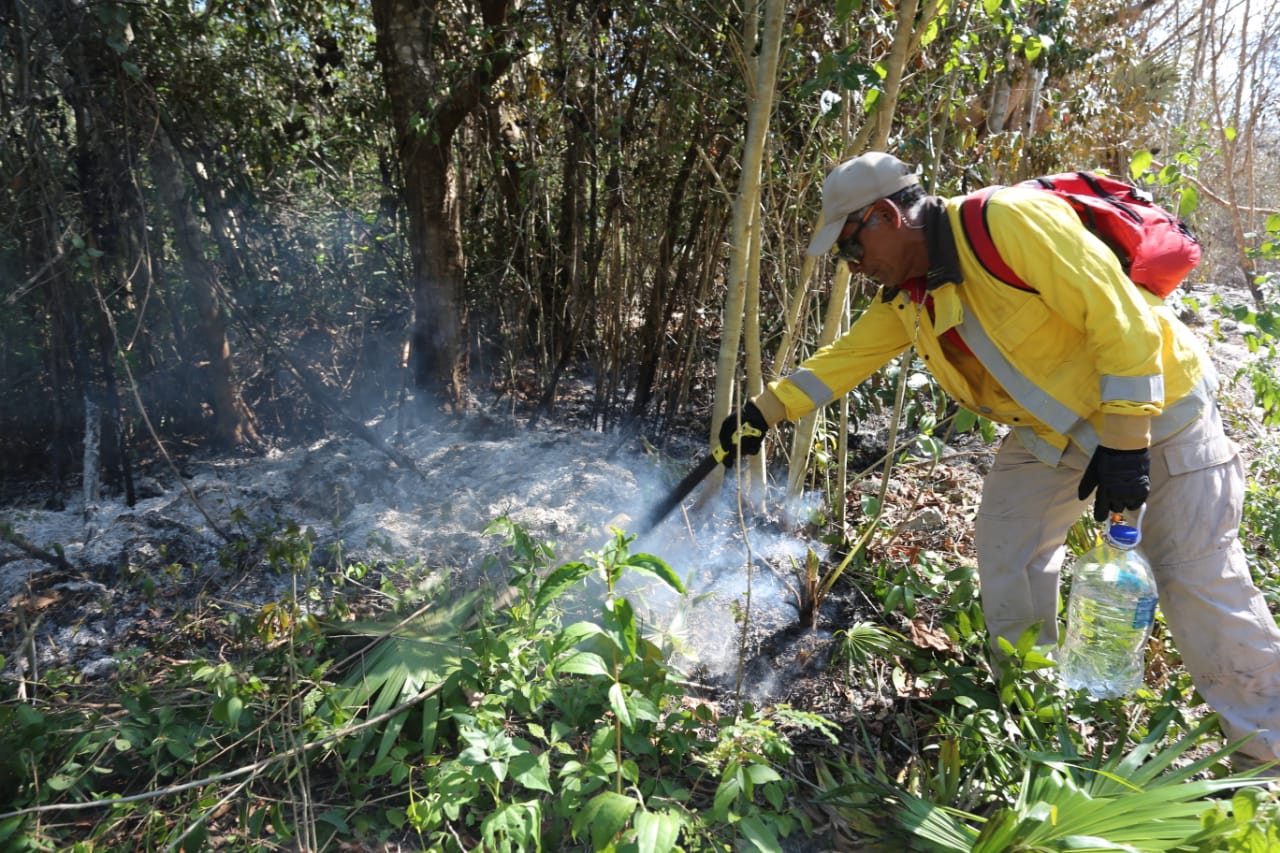 Combate Gobierno de Isla Mujeres primer incendio de la temporada en Francisco May