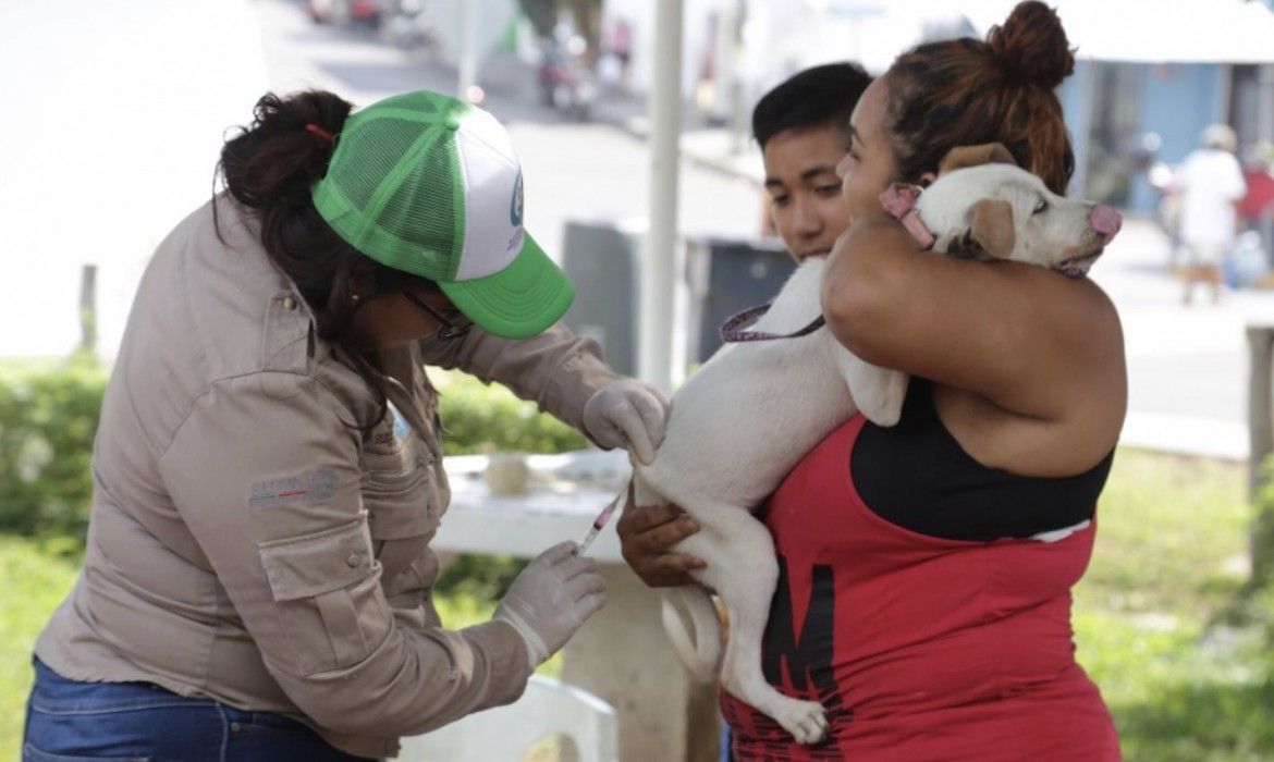 Más de 9 mil dosis aplicadas en la “Primera Semana Nacional de Vacunación Antirrábica Canina y Felina 2019”