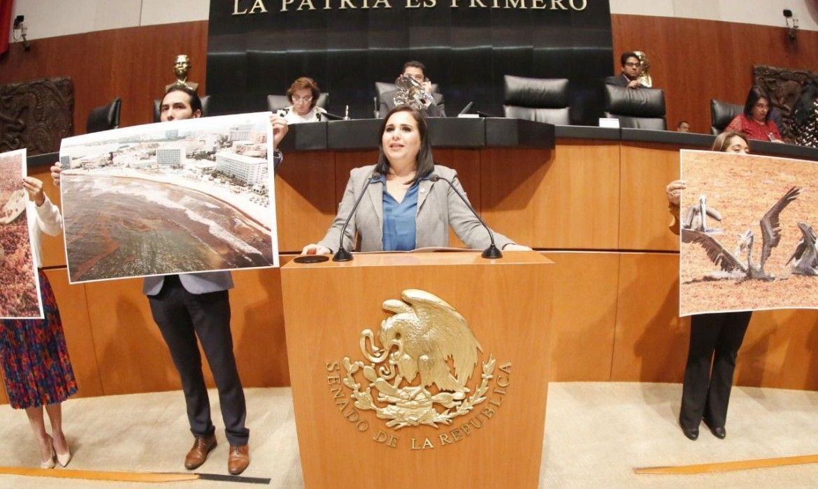 SARGAZO | Propone Mayuli reformar Ley de Cambio Climático para enfrentar el problema a largo plazo