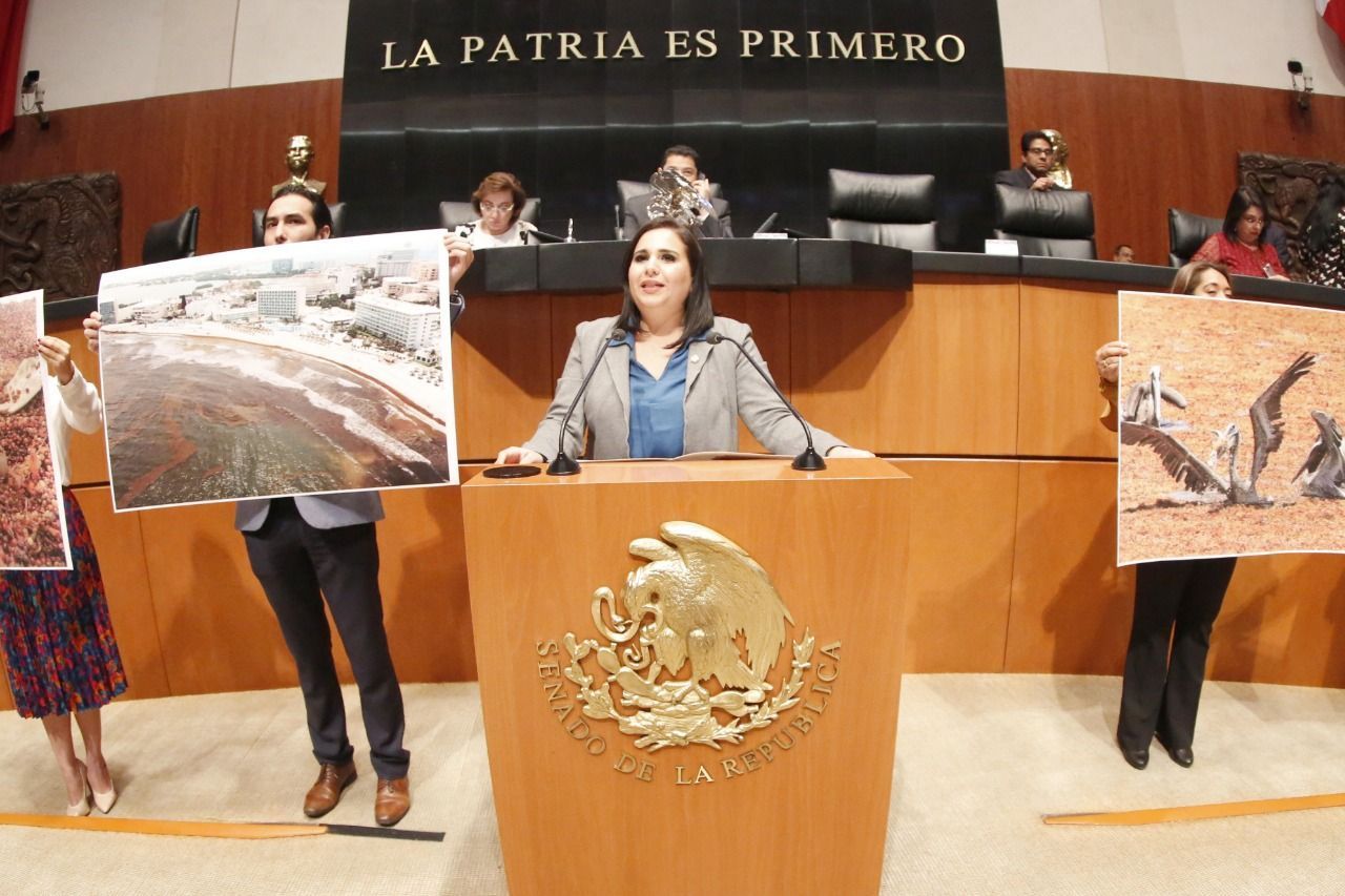 SARGAZO | Propone Mayuli reformar Ley de Cambio Climático para enfrentar el problema a largo plazo