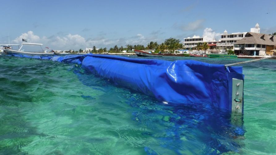Colocan barreras antisargazo en Puerto Morelos