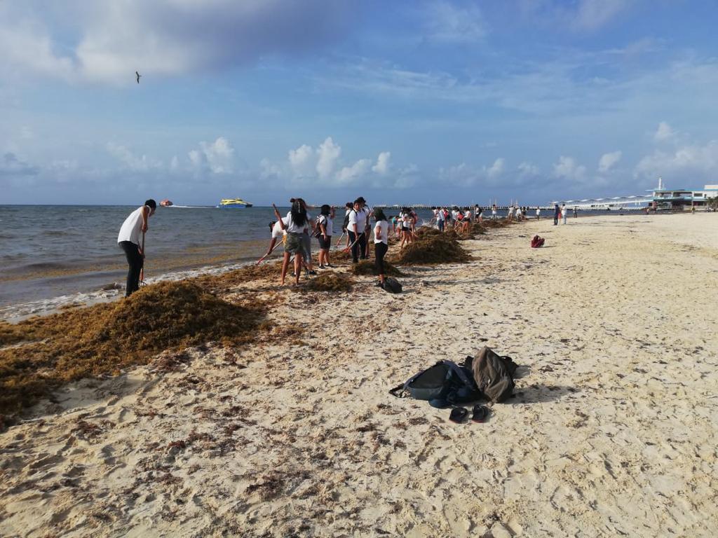 Continúa batalla contra el sargazo por mar, cielo y tierra en Quintana Roo
