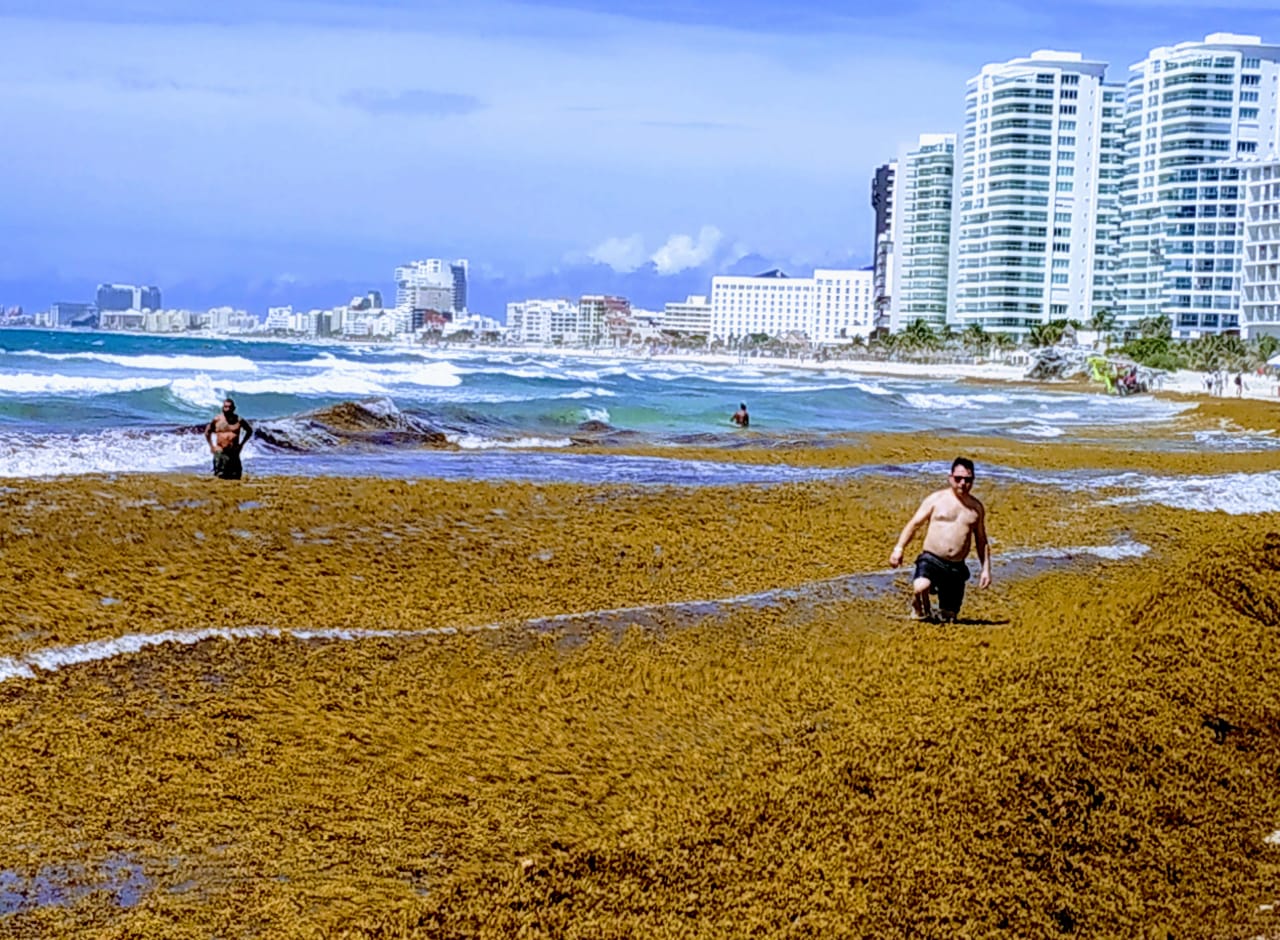 Acuerdan 13 países medidas para enfrentar el sargazo