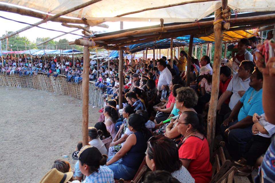 Anticipan amparos por prohibición de peleas de gallos
