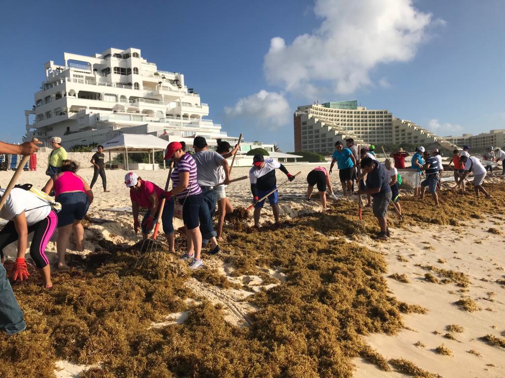 Participan más de 1100 voluntarios para limpieza de sargazo en playas este fin de semana