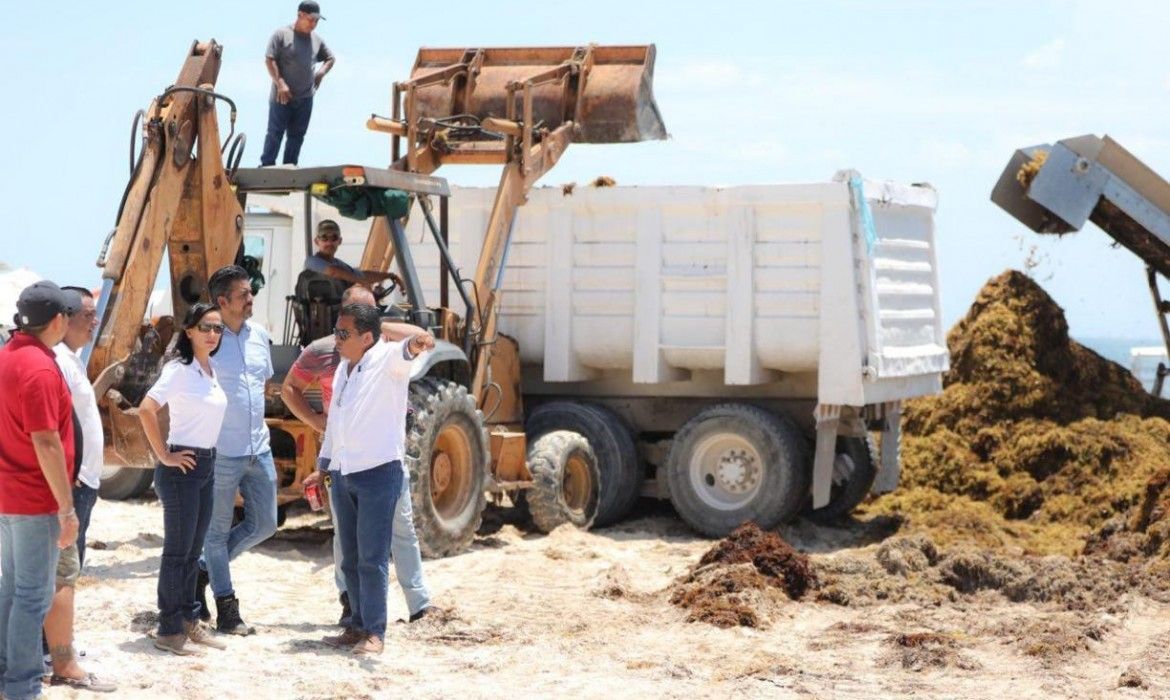 Recorre Laura Fernández playas para supervisar trabajo vs sargazo