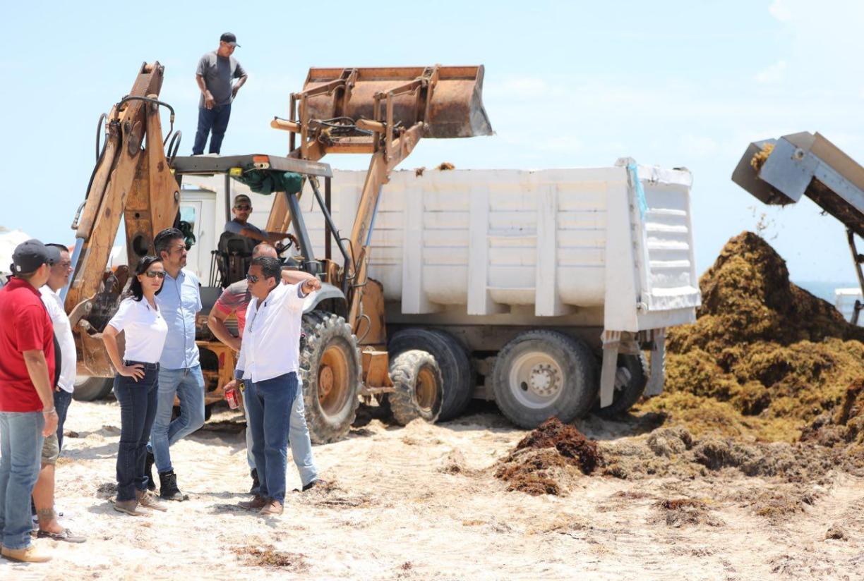 Recorre Laura Fernández playas para supervisar trabajo vs sargazo