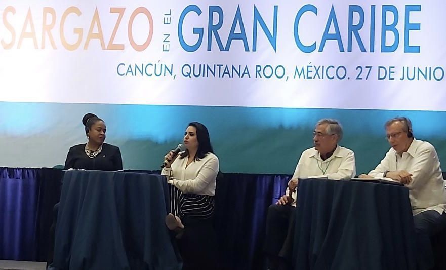 “Necesario un marco legal nacional e internacional para atender el sargazo” Mayuli.