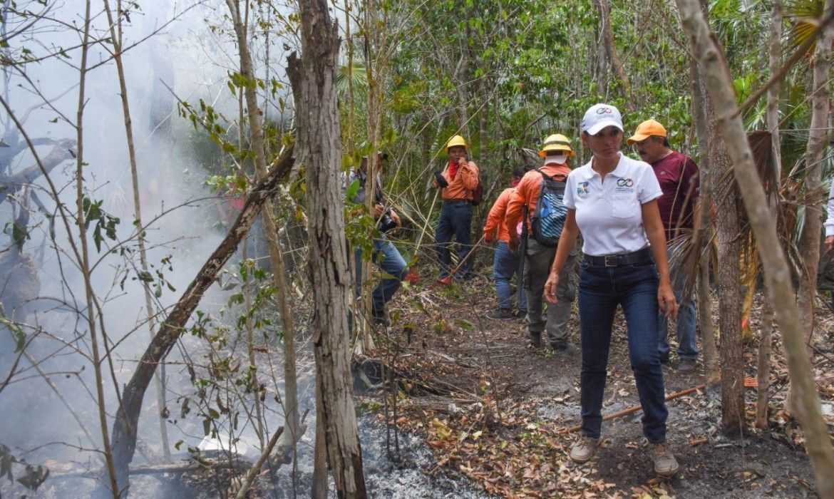 Gobierno de Puerto Morelos interpone denuncia ante FGE para que investigue las causas de los incendios que han afectado al municipio en las últimas semanas