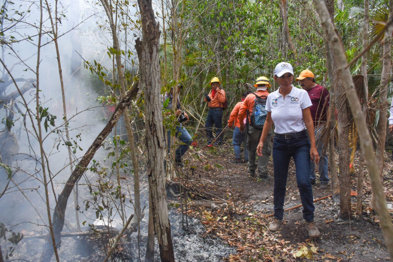 Gobierno de Puerto Morelos interpone denuncia ante FGE para que investigue las causas de los incendios que han afectado al municipio en las últimas semanas
