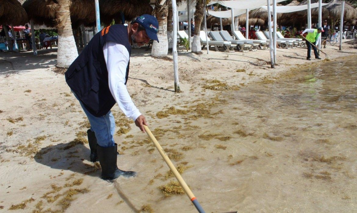 Más de cinco mil quintanarroenses responden al llamado de Carlos Joaquín para limpiar playas de Quintana Roo