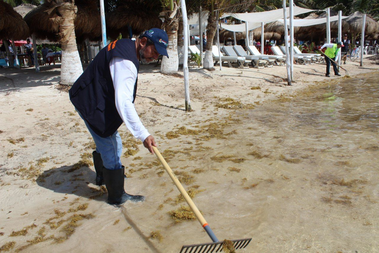 Más de cinco mil quintanarroenses responden al llamado de Carlos Joaquín para limpiar playas de Quintana Roo