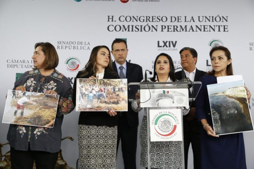 Acusan que la Marina está en “periodo de aprendizaje” en tema de sargazo, y exigen Declaratoria de Desastre