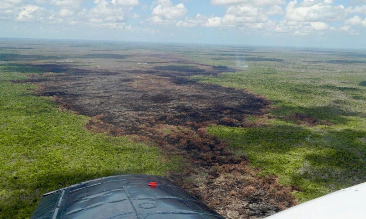 Avanza al 45 por ciento control de incendio forestal “Muyil”